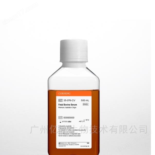 澳洲胎牛血清細胞培養的關鍵營養源