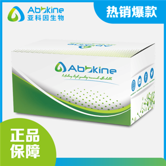 细胞衰老检测试剂盒