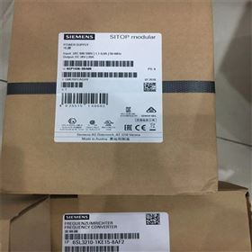 西門子SIEMENS冗余模塊6EP1961-3BA21特點