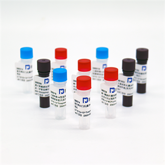 大腸桿菌噬菌體MS2核酸參考品（熱滅活）（強陽性）6