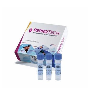 PeproTech派普泰克代理