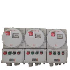 BXM(D) 防爆照明动力配电箱 Exd IIBT4
