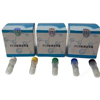 25T铜绿假单胞菌检测试剂盒