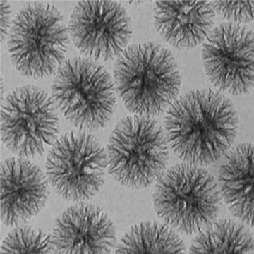 樹枝狀羧基大孔徑介孔二氧化硅納米顆粒