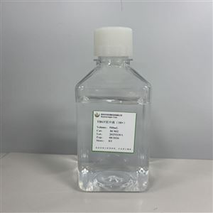 TBST缓冲液(10×)