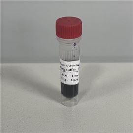 SDS-PAGE蛋白上样缓冲液(5X)（非还原）