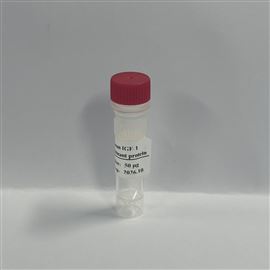 Recombinant Human IGF-1