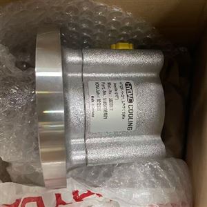 403131 SDV-P 07SCHUNK雄克压力保持阀