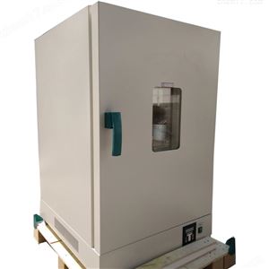 YSDHG-225高溫烘箱