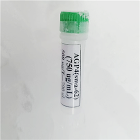 cAGP4-IgM