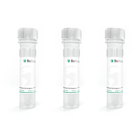 Phosphatidylinositol Trisphosphate ELISA Kit