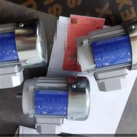 意大利M.T. Motori三相電機TN55B電壓范圍廣