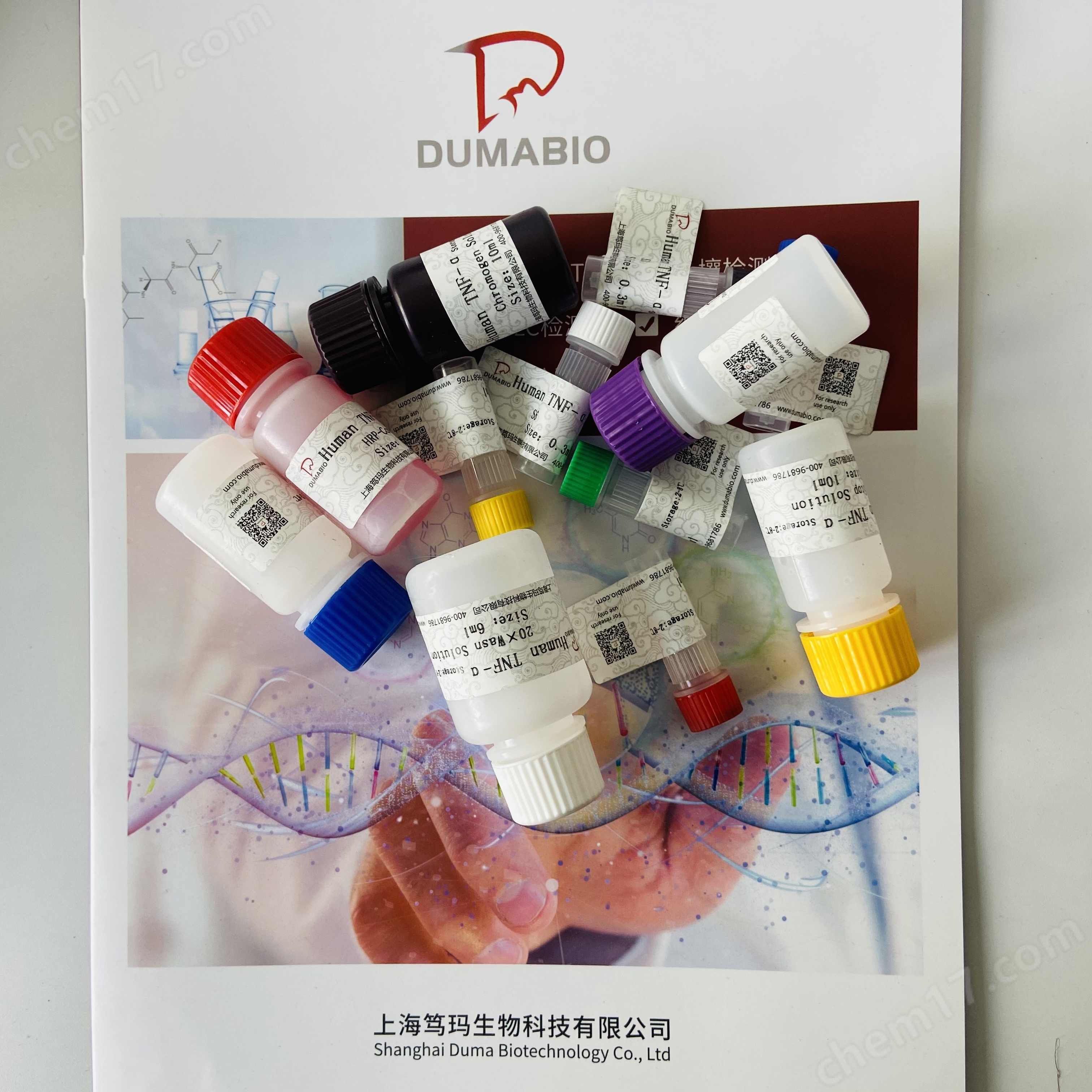 兔白介素6(il-6)elisa试剂盒