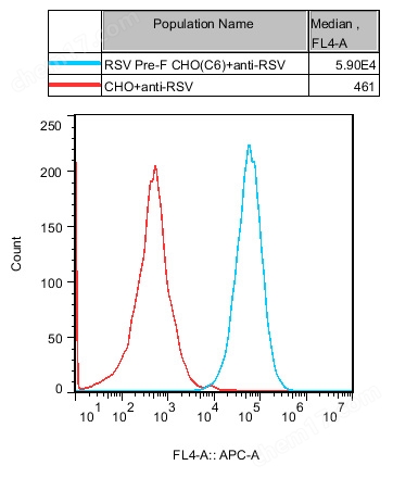 RSV Pre-F CHO