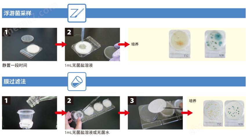 微生物快速測試片—腸球菌屬