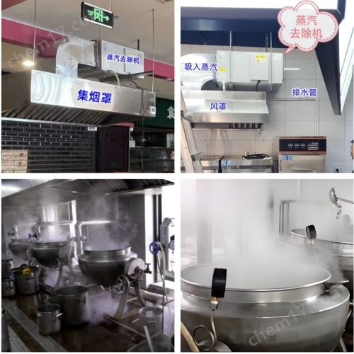 日業(yè) 煎藥房蒸汽去除機(jī)500.jpg