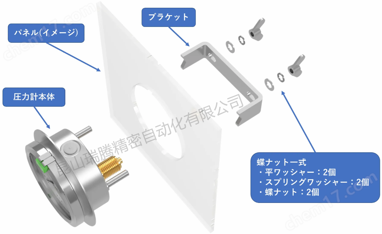 日本ASK耐振壓力表OPG-DT-G1/4-60x60MPa-B