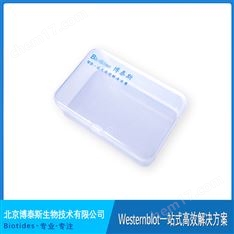 Biotides抗體孵育盒 小盒