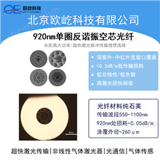 單圈反諧振空芯光纖