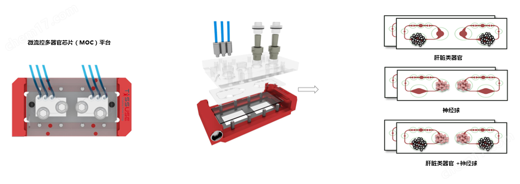 類器官芯片培養系統