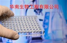 沙門血清套盒 丹麥SSI