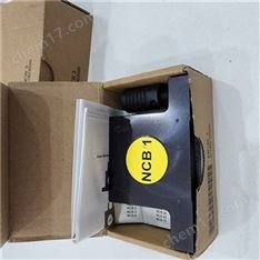 德國Netter Vibration氣動往復式振動器