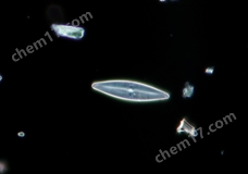 尼康生物顯微鏡CI-L十一月介紹