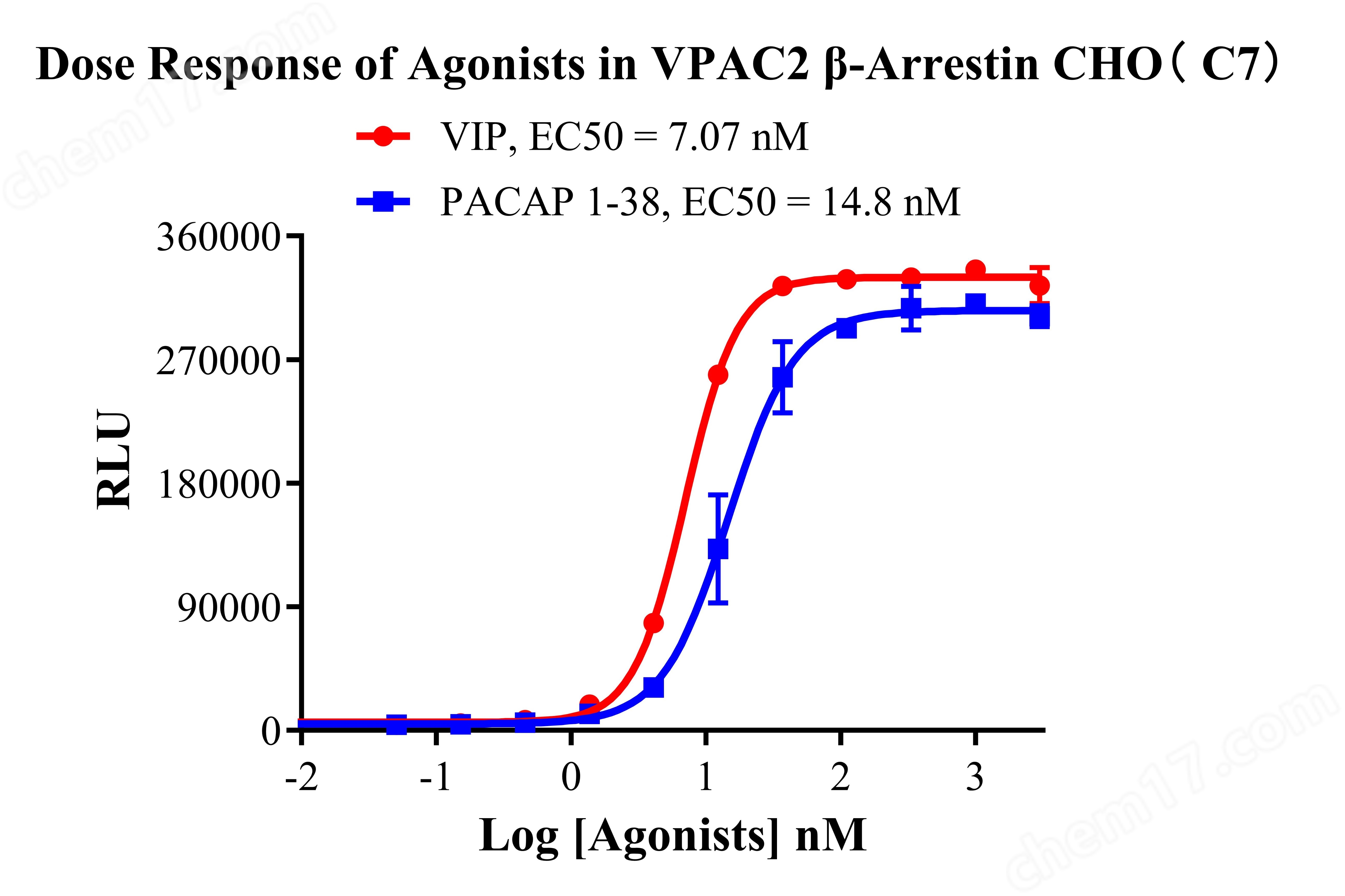 VPAC2 β-Arrestin CHO