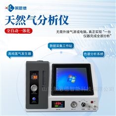 天然氣熱值分析儀
