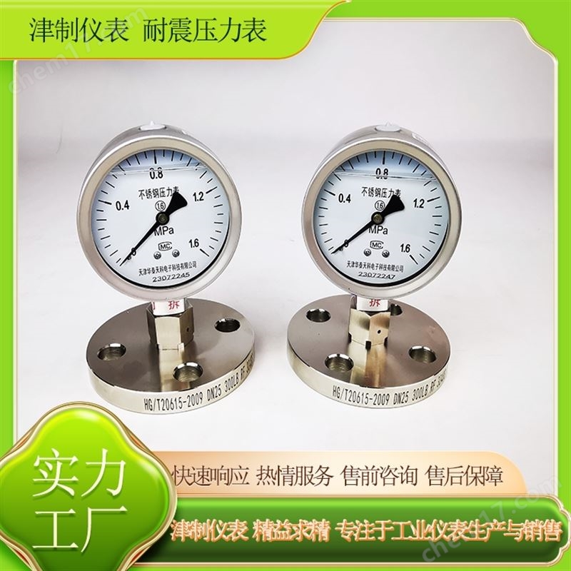 耐震壓力表 法蘭連接 碳鋼 油氣傳輸