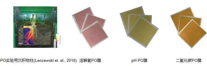平面光極技術(shù)：水稻田微環(huán)境監(jiān)測(cè)的“可視化利器”——從指標(biāo)成像到規(guī)律解析