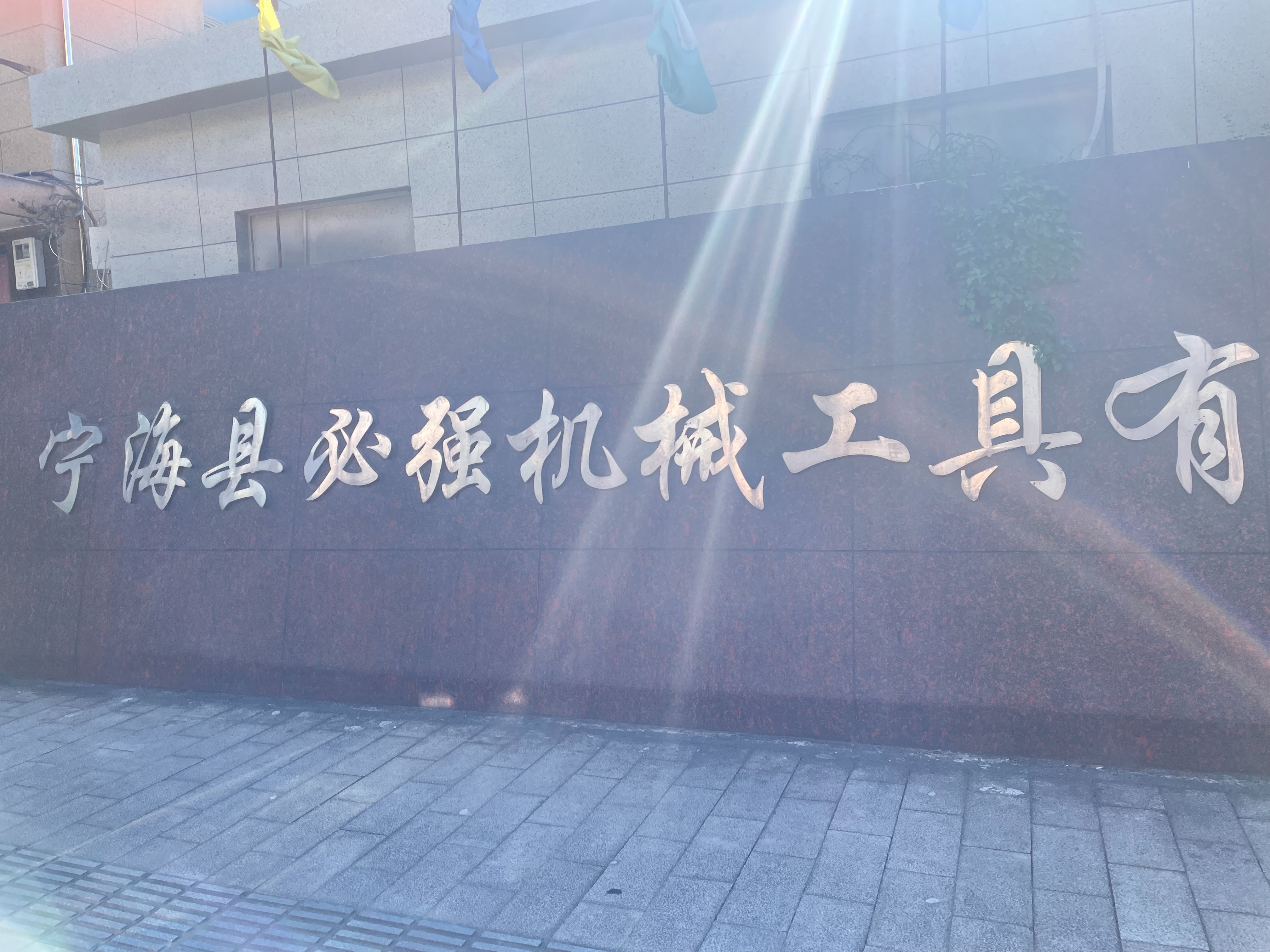 寧海縣必強(qiáng)機(jī)械與三思永恒工作成功