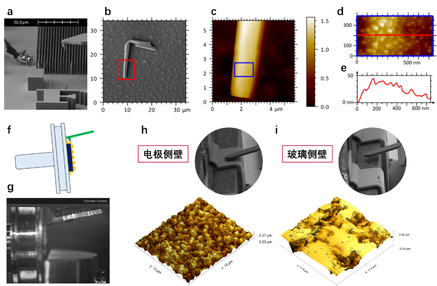 半導(dǎo)體研發(fā)卡脖子？AFM/SEM/EDS三合一顯微鏡讓納米級(jí)“病灶”顯形