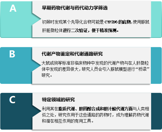 豚鼠肝微粒體 4.png