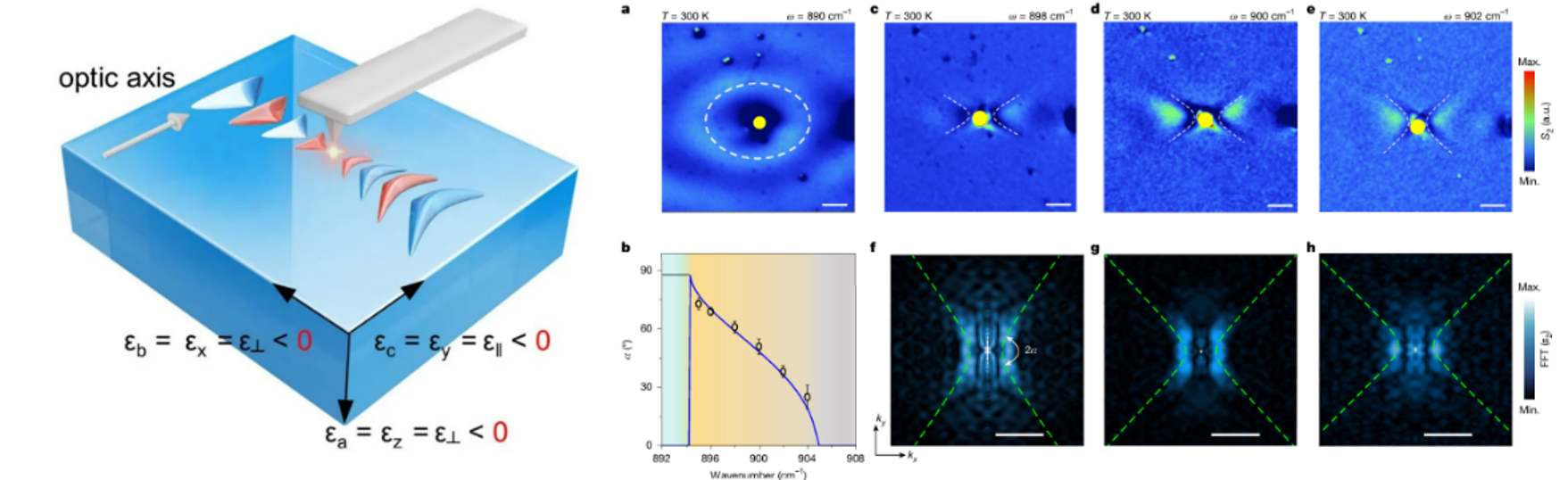 散射型近場(chǎng)光學(xué)顯微鏡助力一篇Nature正刊，非雙曲材料中發(fā)現(xiàn)雙曲極化激元！