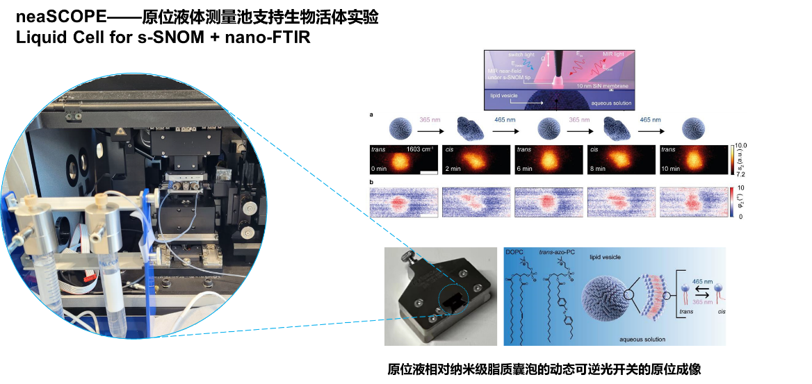 納米光譜與成像系統(tǒng)揭秘納米藥物載體實(shí)時(shí)調(diào)控機(jī)制，成果登Nature 子刊