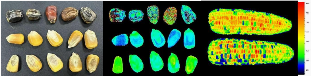 易科泰與您相約第二十二屆中國作物學會學術年會