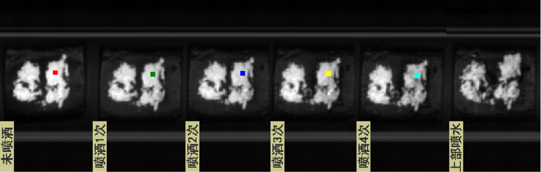 基于高光谱成像的烟叶表面香料检测实验研究