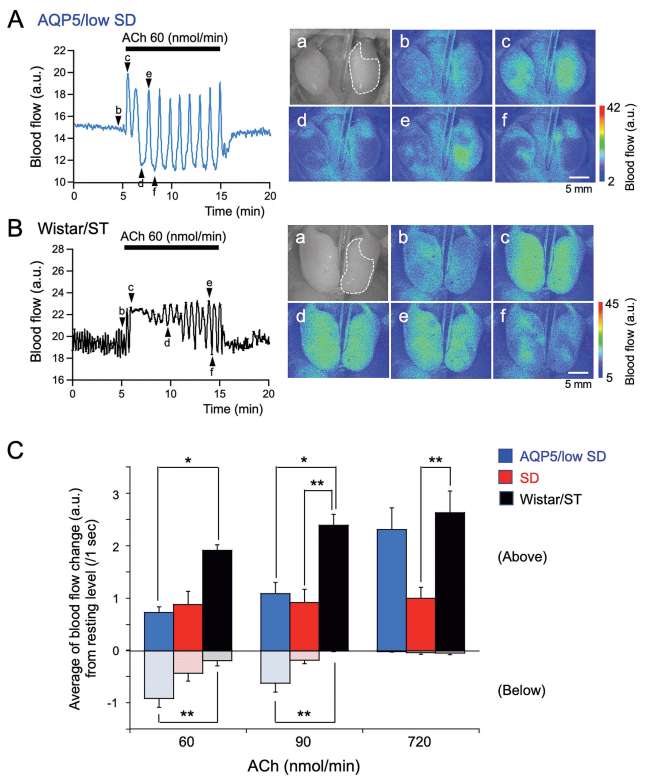 ddd69730-7218-4a2a-b37a-cf367dfc963d