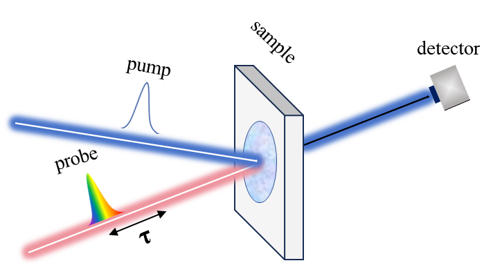 Excipolar Spinon_瞬态吸收光谱应用