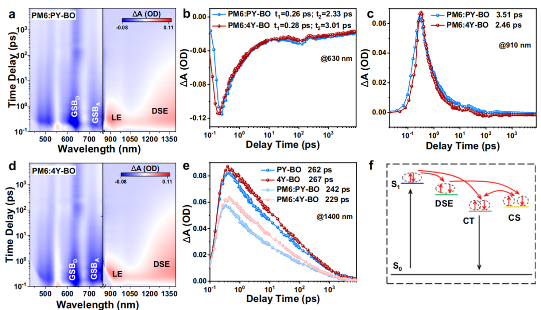 Excipolar Spinon_瞬态吸收光谱应用
