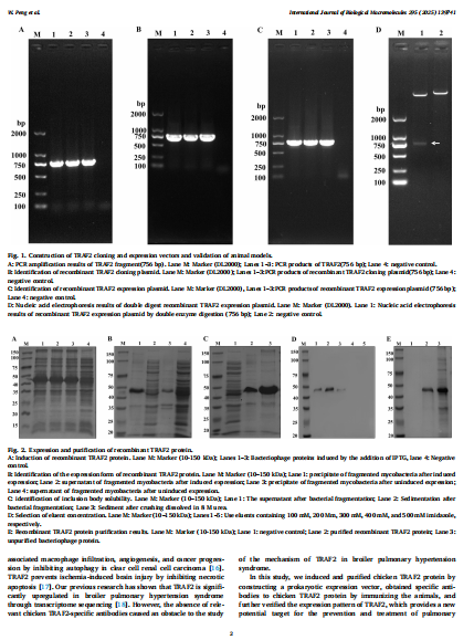 恒遠生物|恭喜江西農業大學老師領取獎學金,SCI文獻8.49分！
