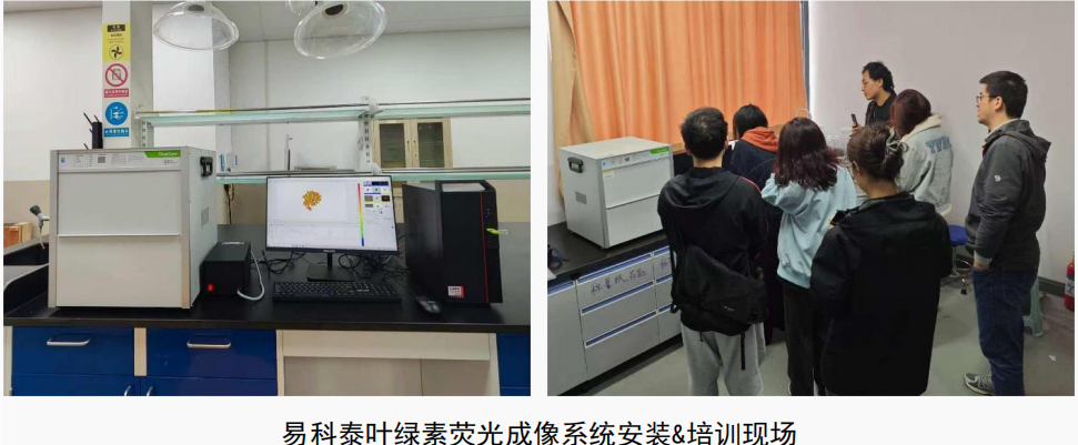 千年港城的新綠色故事:寧波大學葉綠素熒光植物表型落地運行