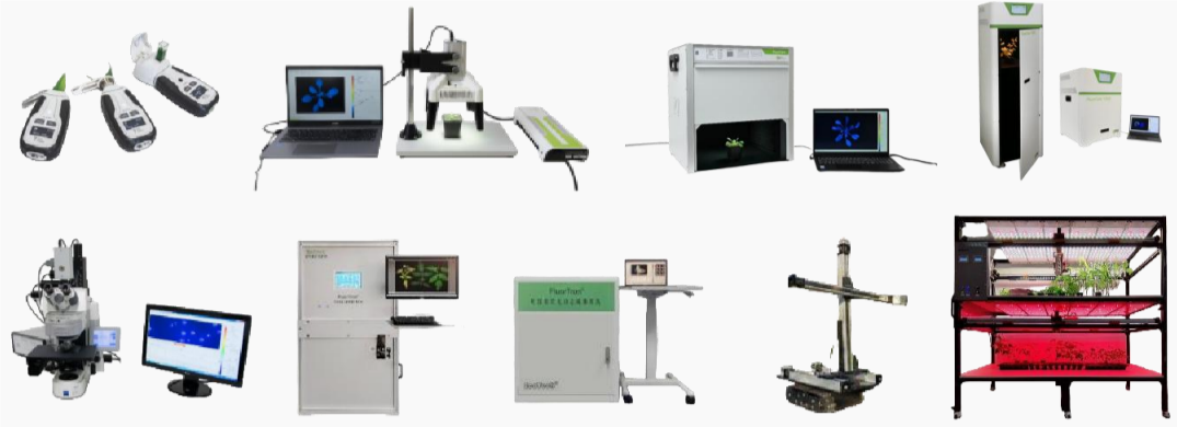 千年港城的新綠色故事:寧波大學葉綠素熒光植物表型落地運行