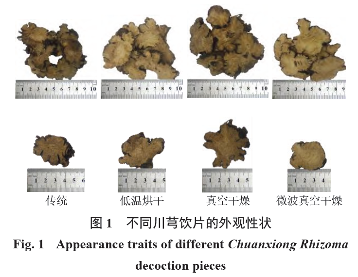上海騰拔質構儀用于測定川芎飲片的硬度和韌性