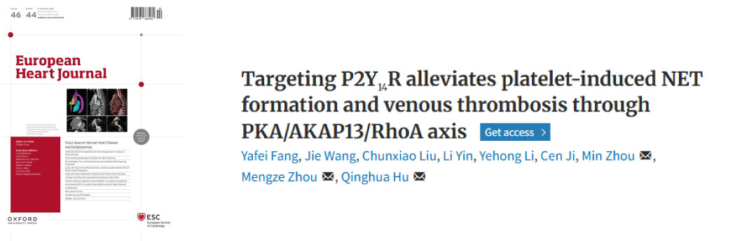 【10月文献战报】Bioss 抗体新增高分文献精彩呈现