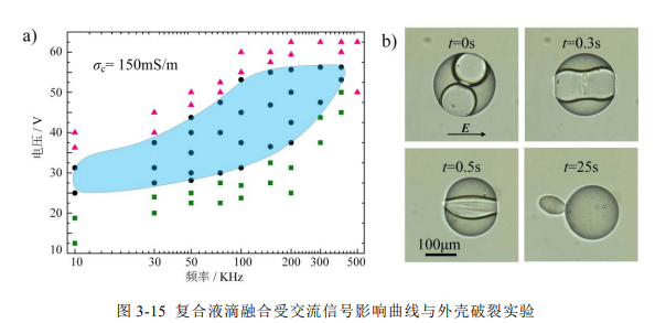 复合液滴融合受交流信号影响曲线与外壳破裂实验