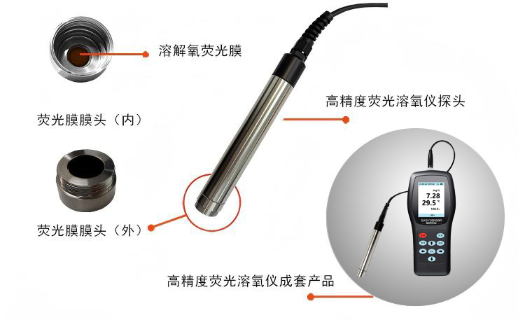 溶解氧手持儀產品組成-(1).jpg