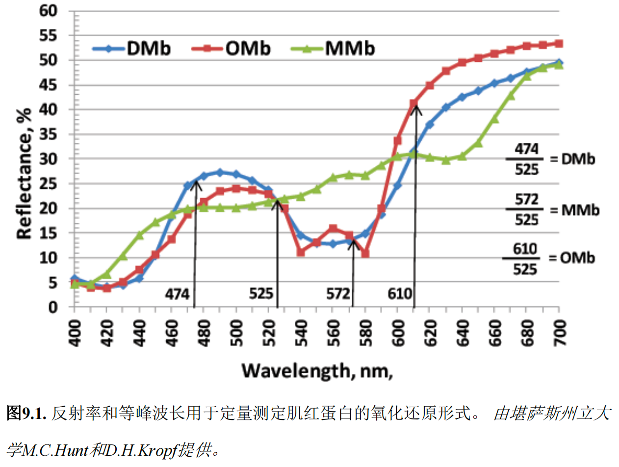 肉類顏色測(cè)量指南之新鮮肉中的肌紅蛋白氧化還原形式