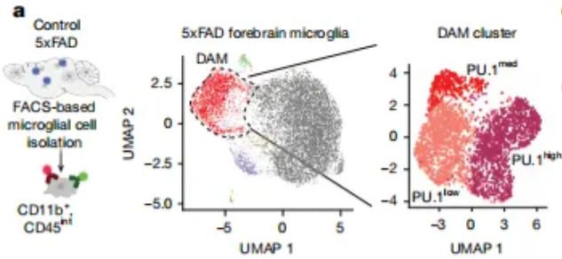 20251105-nature-data0 《Nature》:小膠質細胞的功能取決于轉錄因子PU.1的表達水平